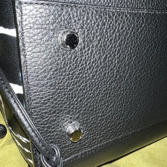 Mulberry Iris - Picture 11 of 12